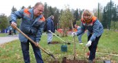 В Кирово-Чепецке появилась Аллея энергетиков