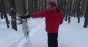 Теплые уши и удобный комбинезон: как кировчанам гулять с собаками зимой?