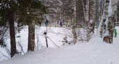 В выходные в Кирове будет морозно: прогноз погоды на 26 и 27 ноября