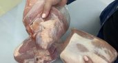 В одном из детсадов Кировской области воспитанников кормили мясом с кишечной палочкой