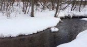 В Кирове на расчистку реки Хлыновки потратят более 9 миллионов рублей