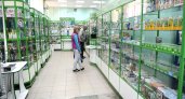 Кировские аптеки вновь оснащены противовирусными и антибактериальными препаратами