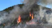 В Кировской области горит лес
