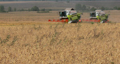 Кировские производители зерна получат субсидии на 177 миллионов рублей
