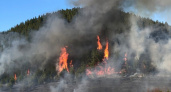За сутки в Кировской области произошло шесть лесных пожаров