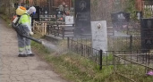 На кировских кладбищах проводится противоклещевая обработка 