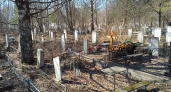 9 мая до кировских кладбищ будут ходить специальные автобусные маршруты