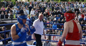 В День города в Кирове прошел международный турнир по боксу: фото и видео события