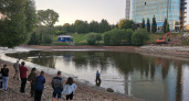 Где будут обитать рыбы и черепахи из пруда в парке имени Кирова: ответ властей