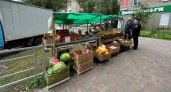 Кировские полицейские пресекли работу овощного прилавка на улице Лепсе 