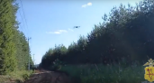 В Кировской области заблудившегося в лесу ребенка нашли с помощью дрона