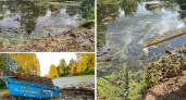 В одном из прудов Оричевского района выявили сброс навозных масс