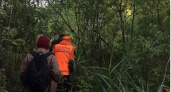 Жители Кировской области отправились на поиски трех пропавших девочек