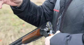 В Кировской области задержали мужчину, незаконно застрелившего лосиху