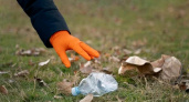 Около 8,5 тонн мусора собрали и отсортировали участники экосоревнований "Чистые игры"