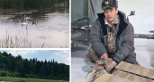 Жители Кировской области спасли лебедя с патологией крыльев