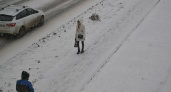 Киров во власти снежной мглы: сотрудники МЧС объявили метеопредупреждение