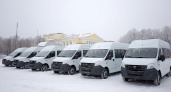 В Кировскую область поступили 115 новых автобусов