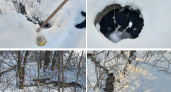 В Кировской области в реку сливают нечистоты