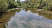 В Кирове хотят расчистить озеро Ежово