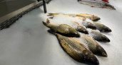 У кировского водителя нашли 400 килограммов подозрительной рыбной продукции