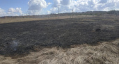 В Кировской области зафиксирован первый в году природный пожар