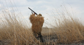 С 15 апреля в Кировской области открывается сезон охоты на пернатую дичь