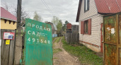 Россиян лишают "второго хлеба": за посадку картошки на даче будут безжалостно штрафовать