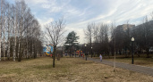 Кировчане ежедневно рискуют здоровьем, прогуливаясь в Кочуровском парке