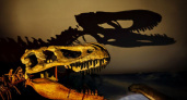 В Кирове откроется выставка ящеров пермского периода, которые существовали до динозавров