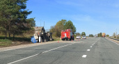 В Сунском районе водитель молоковоза погиб, опрокинув машину на повороте