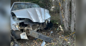 В Лебяжском районе нетрезвый водитель уничтожил машину, направив ее в дерево