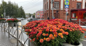 Улицы Кирова украсили к 650-летию города цветущими хризантемами