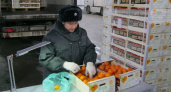 В магазины Кирова поступит 1,2 тонны зараженных мандаринов из Марокко