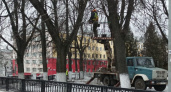 Зеленые насаждения в центре Кирова станут еще зеленее