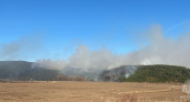 Весенние пожары в Кировской области: огонь охватил более 3,5 гектаров