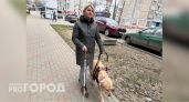  "Мой пес по кличке Панда знает 10 маршрутов и свое место в автобусе": незрячая кировчанка о “работе” единственной в городе собаки-поводыря