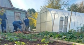 С 30 мая на теплицы вводится полный запрет: приняли решение для всех россиян, у кого есть дача или участок - новые штрафы