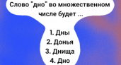 Загадка с подводным камнем: 87% школьников ошибутся на уроке русского — готовы ли вы гордиться своей грамотностью?  