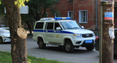 В Кирове росгвардейцы задержали вора-сладкоежку