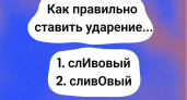 В слове "сливовый" — куда вы поставите ударение? Вашим преподавателям русского языка будет стыдно, если не справитесь