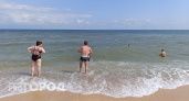 Дешевле Египта и лучше Турции: россияне открыли новый бюджетный курорт с чистым морем - Анапа теперь в пролете