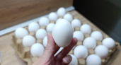 Хитрые продавцы выбирают яйца себе домой только так: запоминайте 2 лайфхака