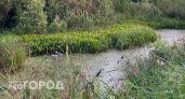 Россельхознадзор установил вероятную причину замора рыбы в Пижанском районе