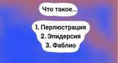 3 слова с вызывающим звучанием, но с приличным значением — 95% слушателей смущаются, когда их слышат
