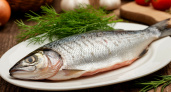 Как выбрать самую нежную и свежую селедочку: как не прогадать при покупке и что о ней следует знать