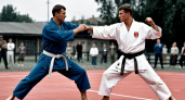 Почему в СССР на самом деле запрещали каратэ? Причин было несколько