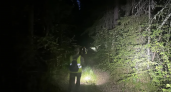 В Нагорском районе организуют повторный выезд на поиски пропавшей в лесу пенсионерки