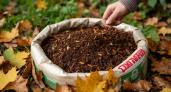 За полгода компост готов, а потратила всего 31 рубль: ушлый огородник рассказал хитрость с листьями и пакетом: гениальный лайфхак