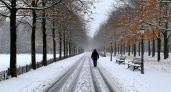 Синоптики рассказали, когда начнется зима - названа дата первых снегопадов 